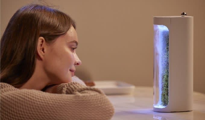 discover the moss air humidifier and air purifier
