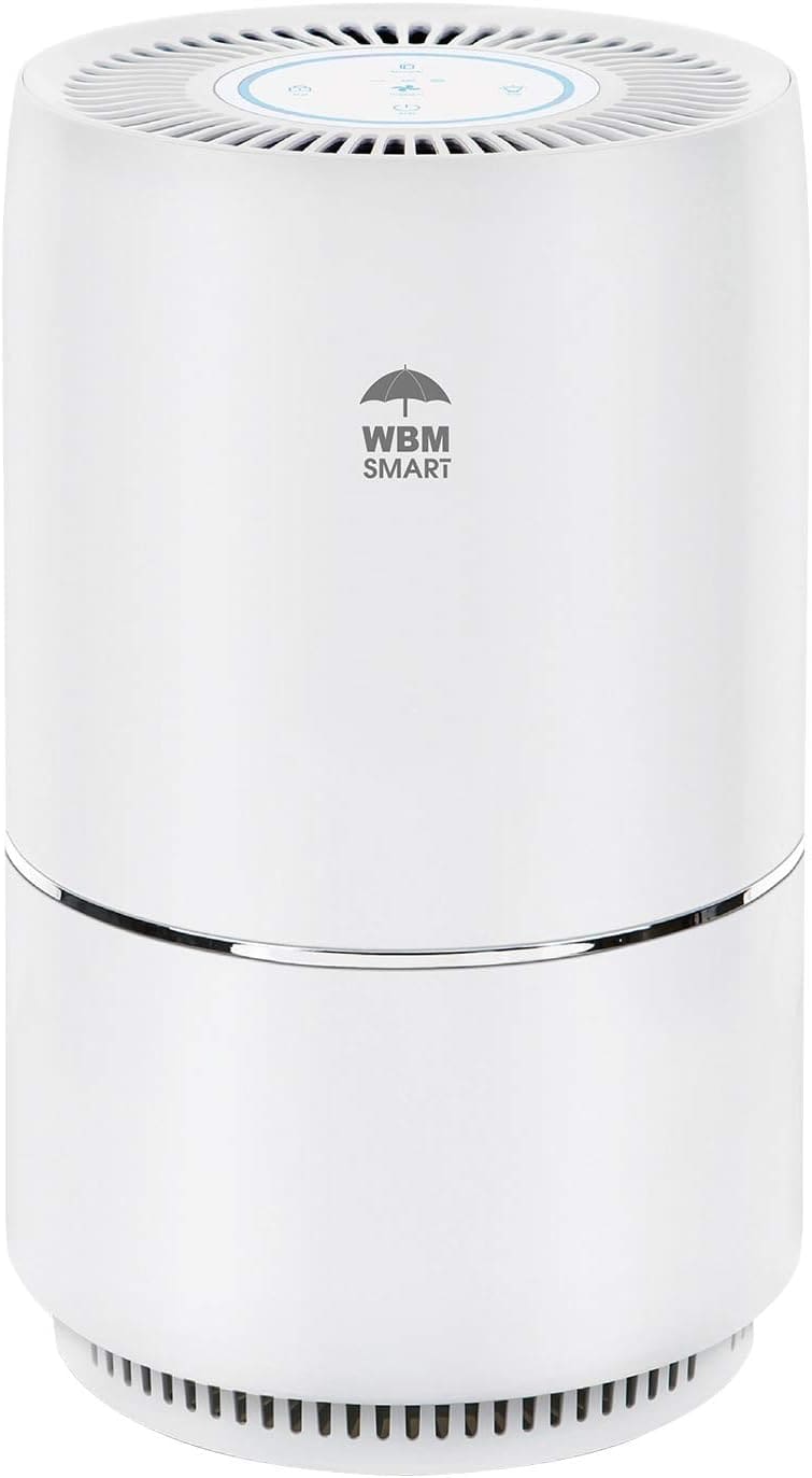 WBM Smart Air Purifier Review