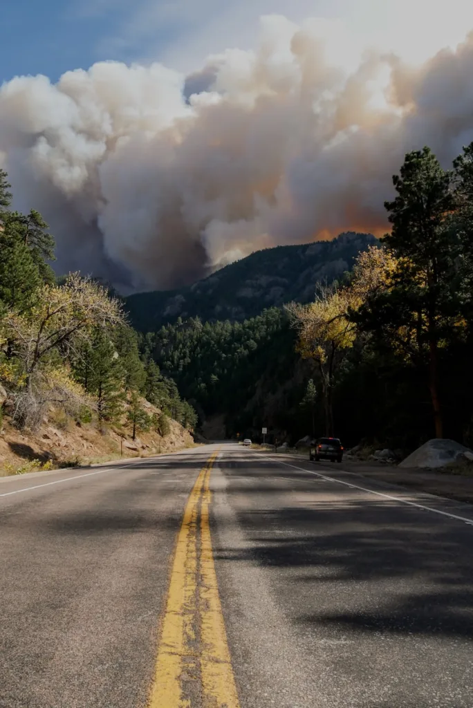 black car on road near green trees during - Can Air Purifiers Improve Indoor Air Quality During Wildfires?