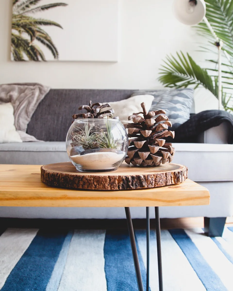 clear fishbowl beside pine cones on brown wooden table - high-end air purifier for the home