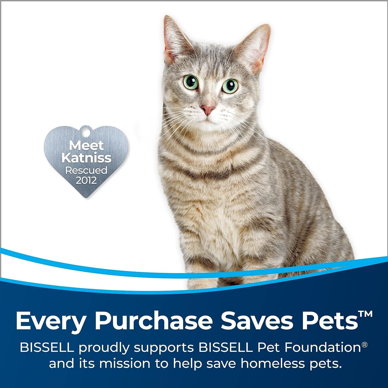BISSELL air320 Smart Air Purifier Review