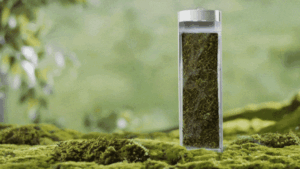 discover the moss air humidifier and air purifier