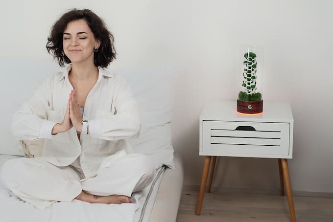 flora air purifier, combining science with nature