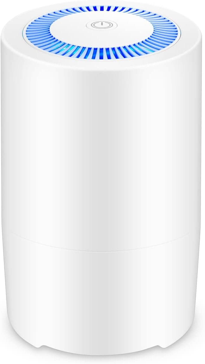 MELEDEN Air Purifier Review