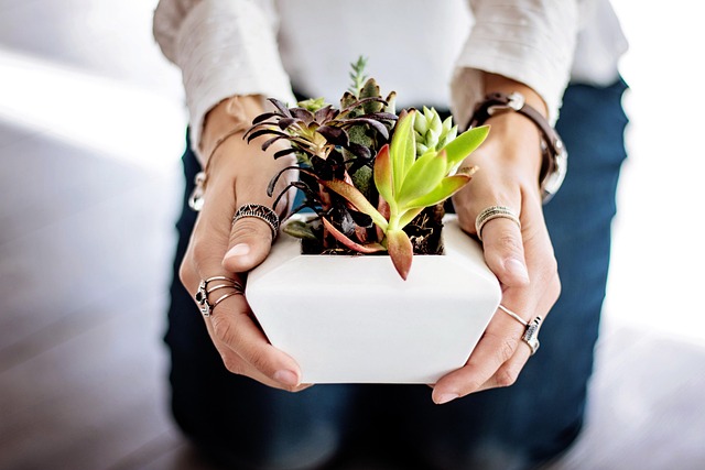 maintain good indoor air quality